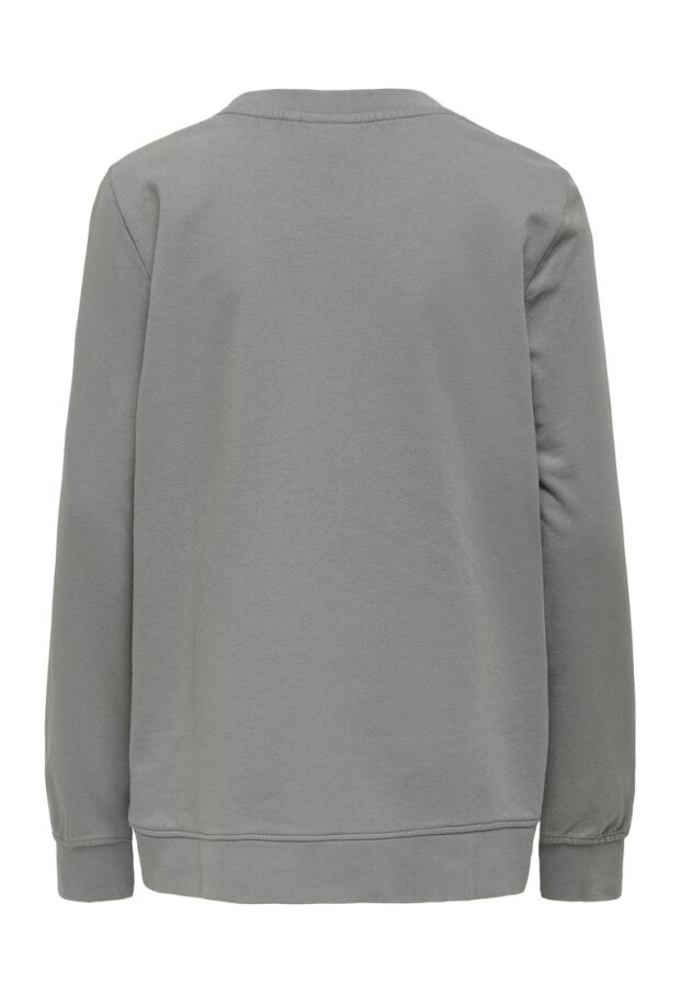 15276988 Sharkskin/IGNITE 