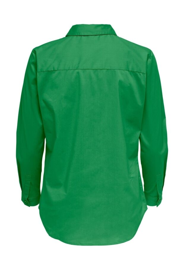 15149877 Kelly Green