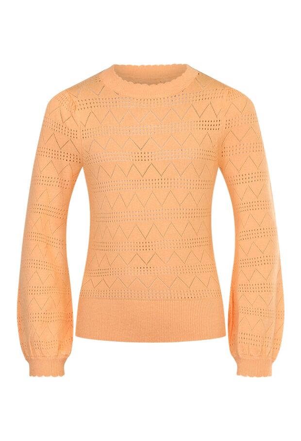 Z70080/Malinka PERZIK 