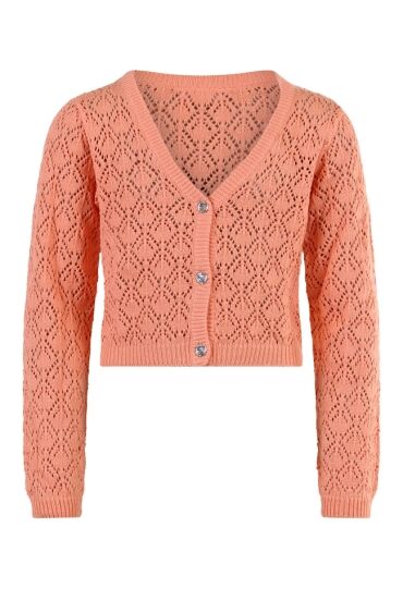 D-zine Z70213/Ajour PERZIK  papaya punch