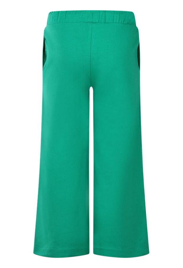 Z70108/2610207 groen 