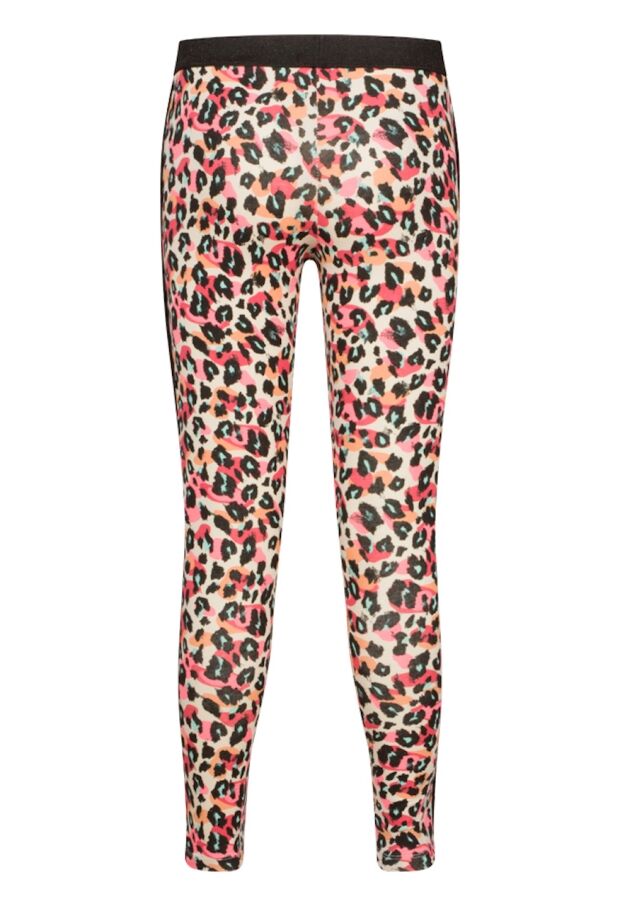 Z70119/2610212 PERZIK