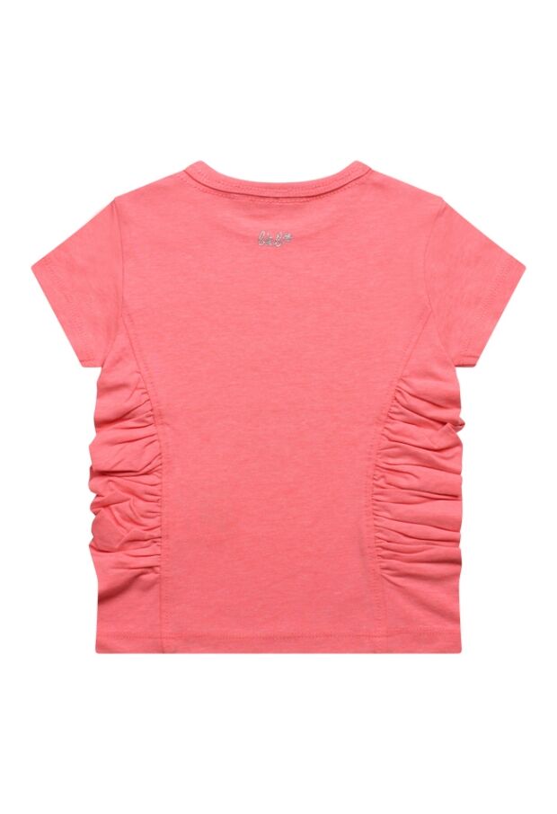 Z70146/2615608 FEL KORAAL 