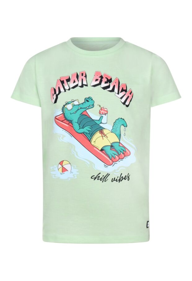 Z70252/2617606 fel groen