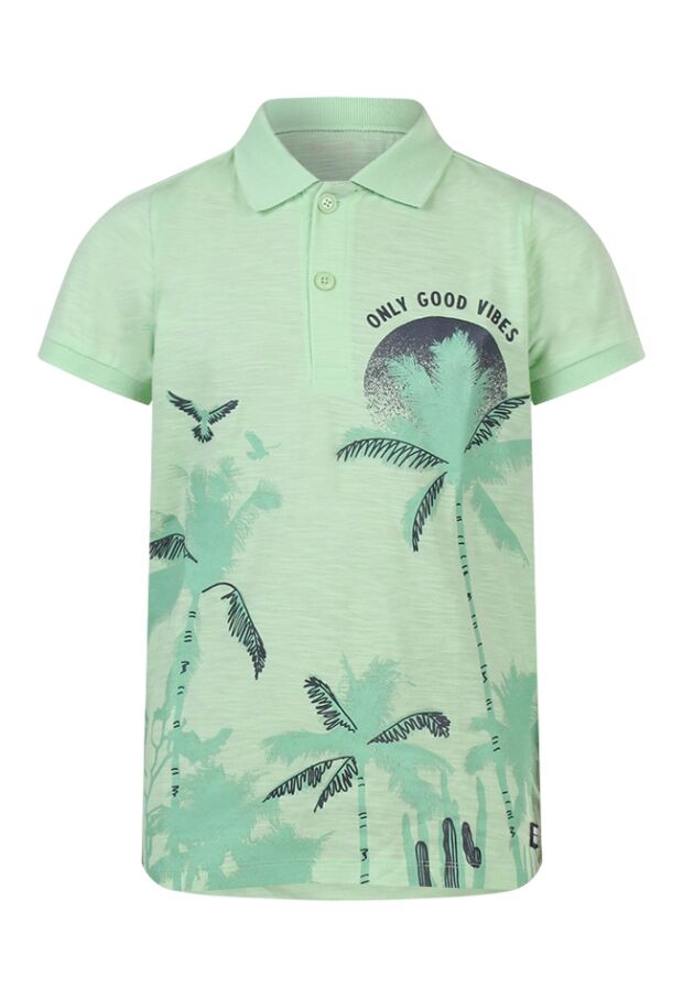 Z70267/2617618 fel groen 