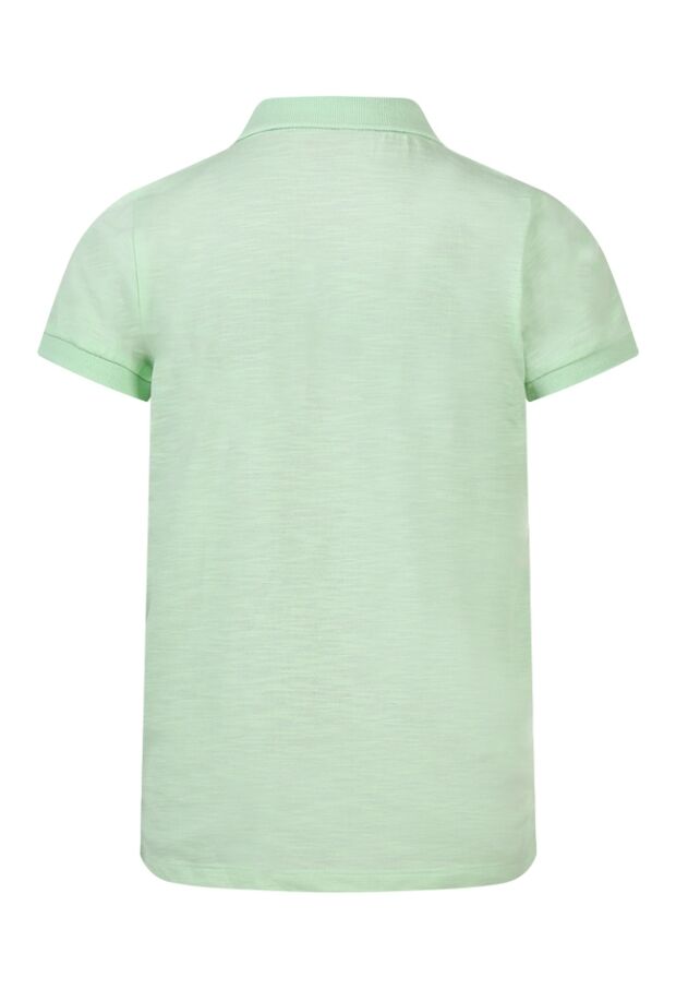 Z70267/2617618 fel groen 