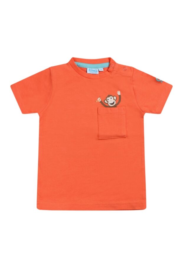 Z70288/2611608 koraal