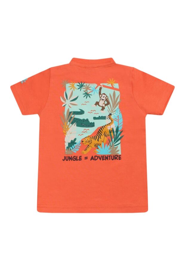 Z70288/2611608 koraal