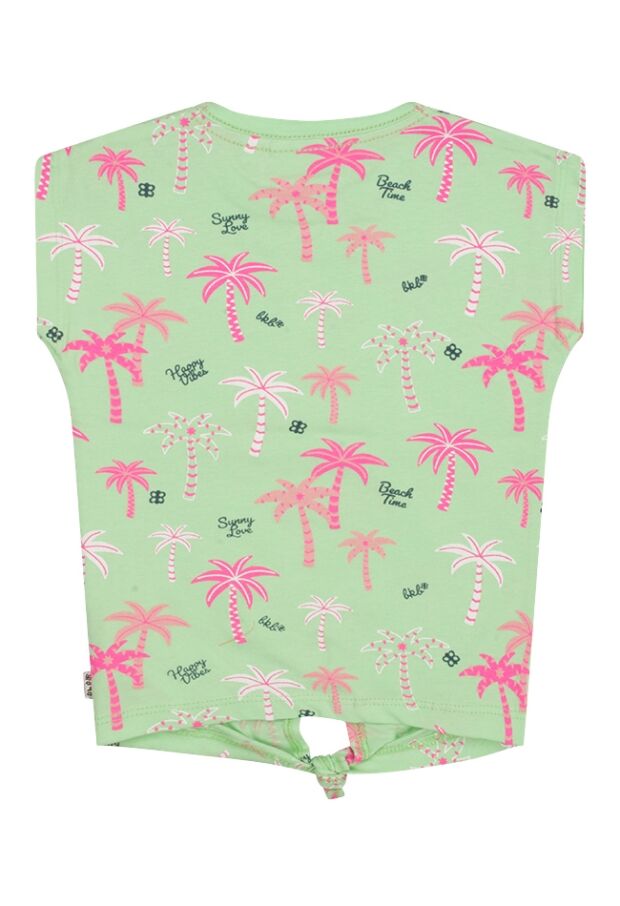 Z70300/2615609 LICHT GROEN 