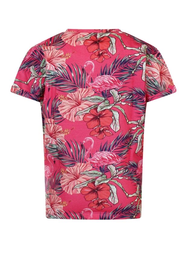 Z70511/SS23G-TE024 FEL ROSE 