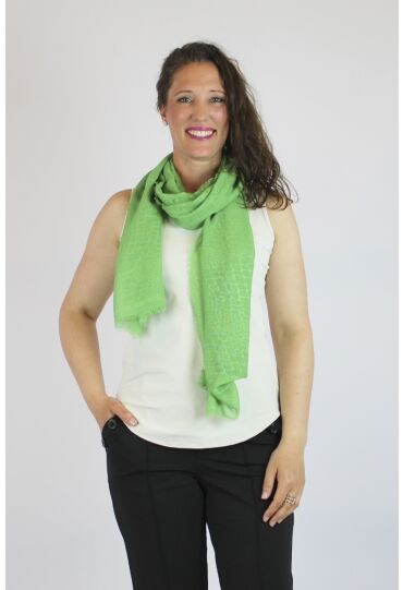 Private label SCF014782 groen  gucci green