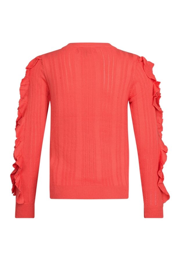 W80088/Nelleke koraal 