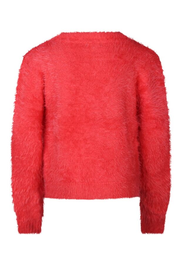 W80138/2710307 koraal 