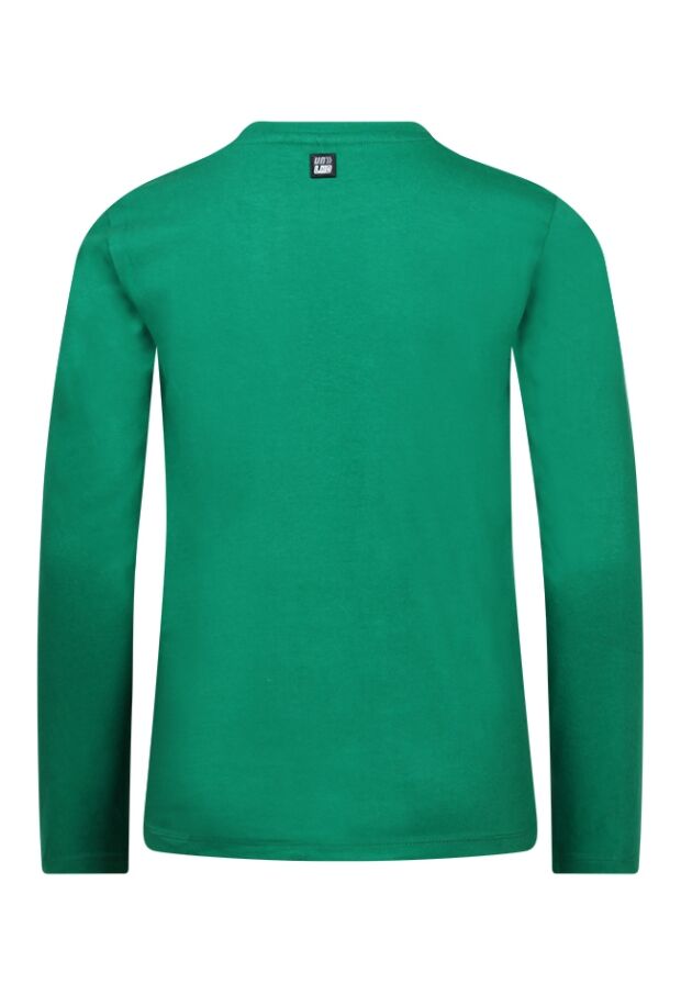 W80254 /2717603 groen 