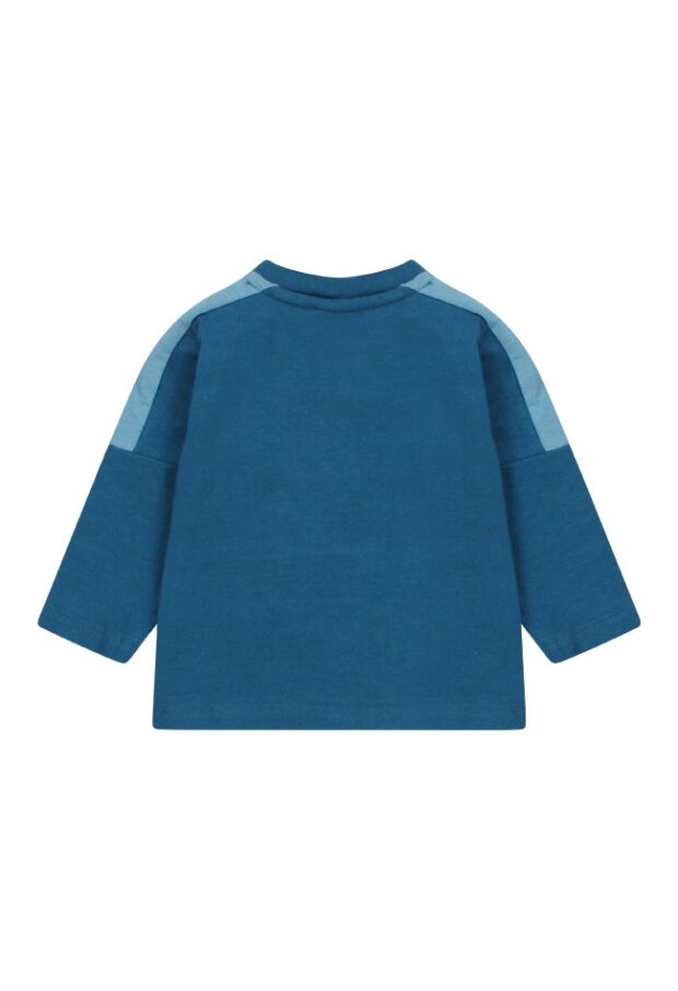 W80317 /2711602 petrol 