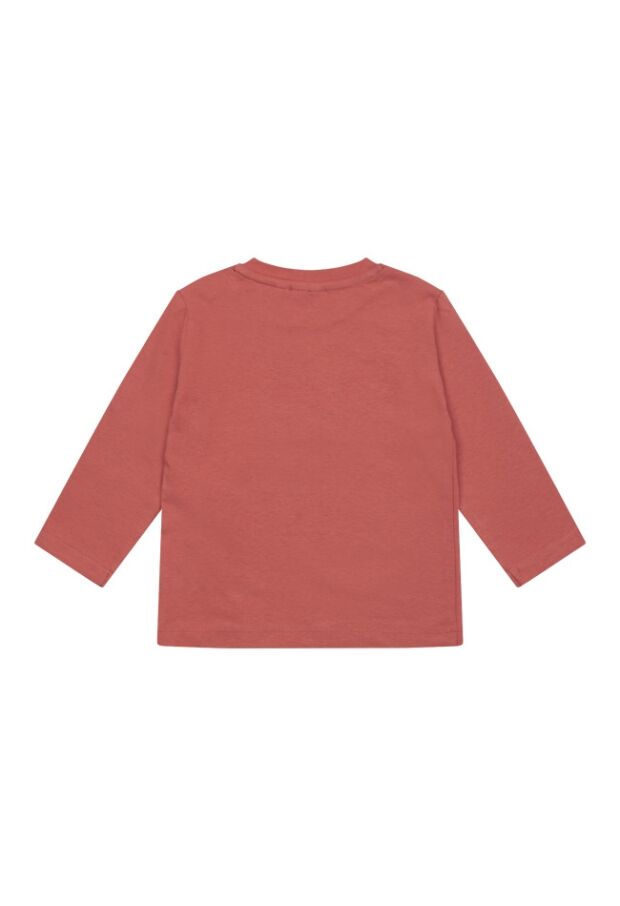 W80318/2711603 LICHT ROOD 