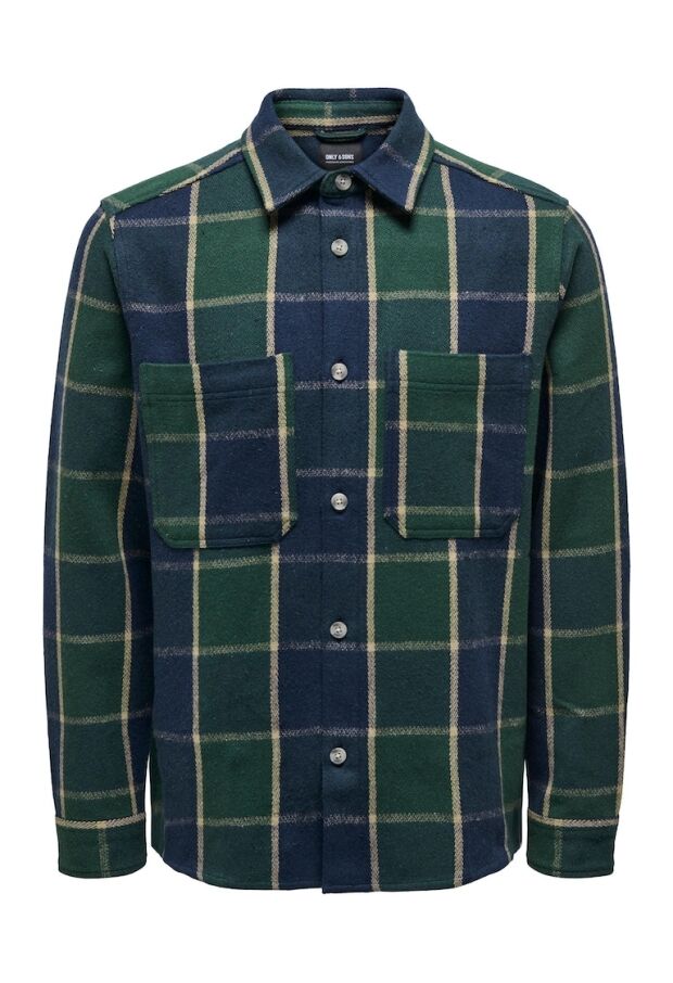 22027318 Winter Moss