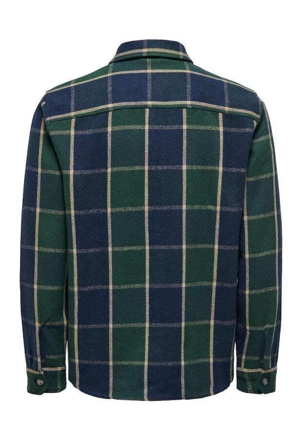 22027318 Winter Moss