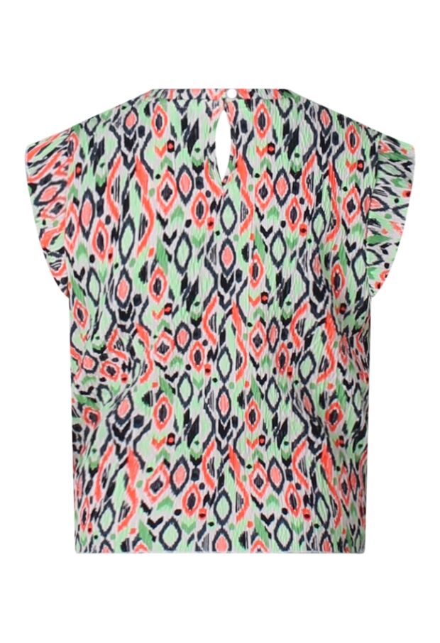 Z80017/2810603 APPEL GROEN 