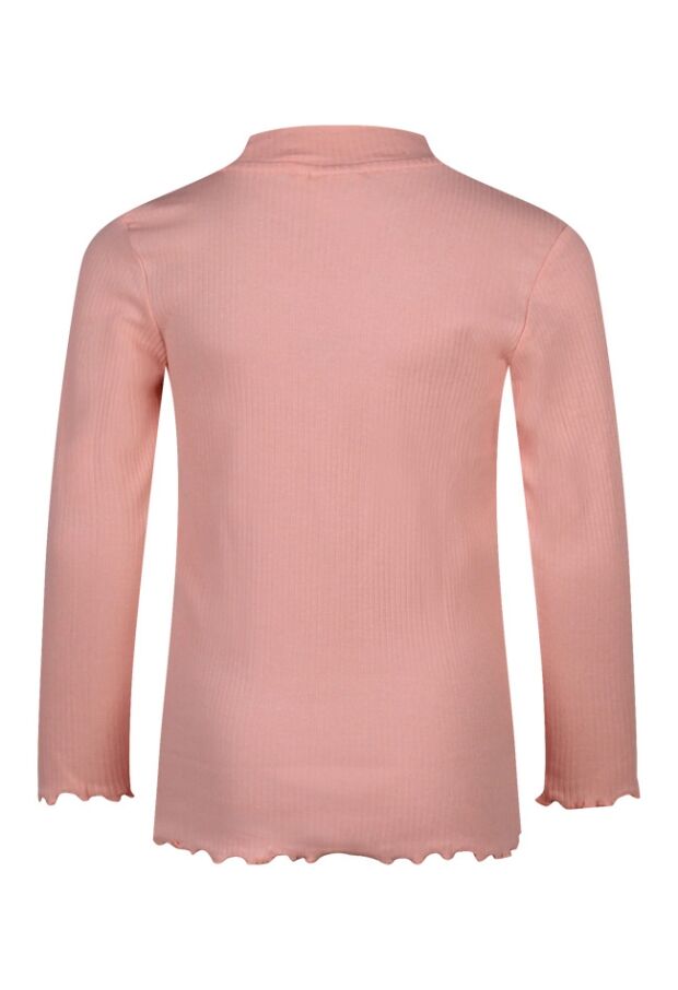 W80501/FW23-MIN-010 OUD ROSE 