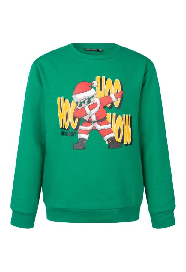 W80480/2717450 groen 