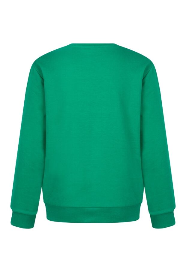 W80480/2717450 groen 