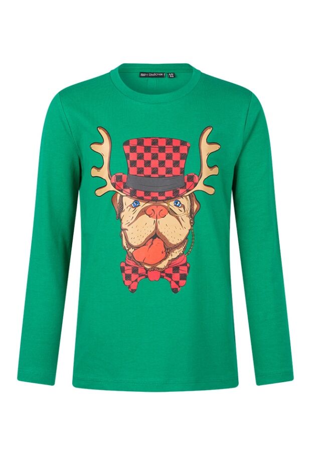 W80481/2717650 groen 