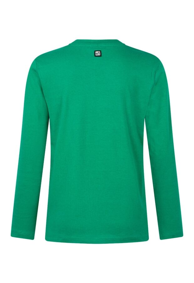 W80481/2717650 groen 