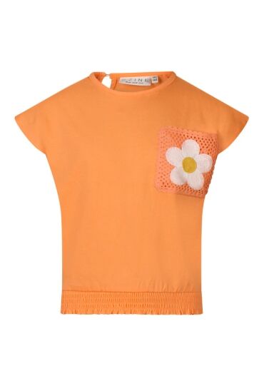 D-zine Z80255/Alice PERZIK  canteloupe