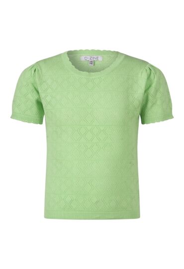 D-zine Z80079/Pessa mint groen  green ash