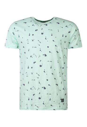 Stonecast Z80653/MT48310 MOS  green milieu