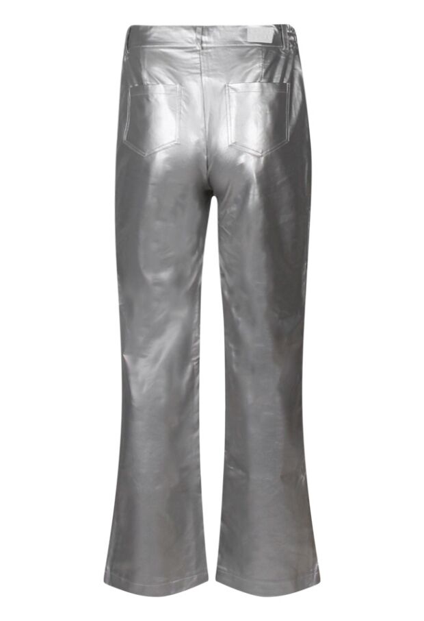 Z80173/Ploonie lds zilver 