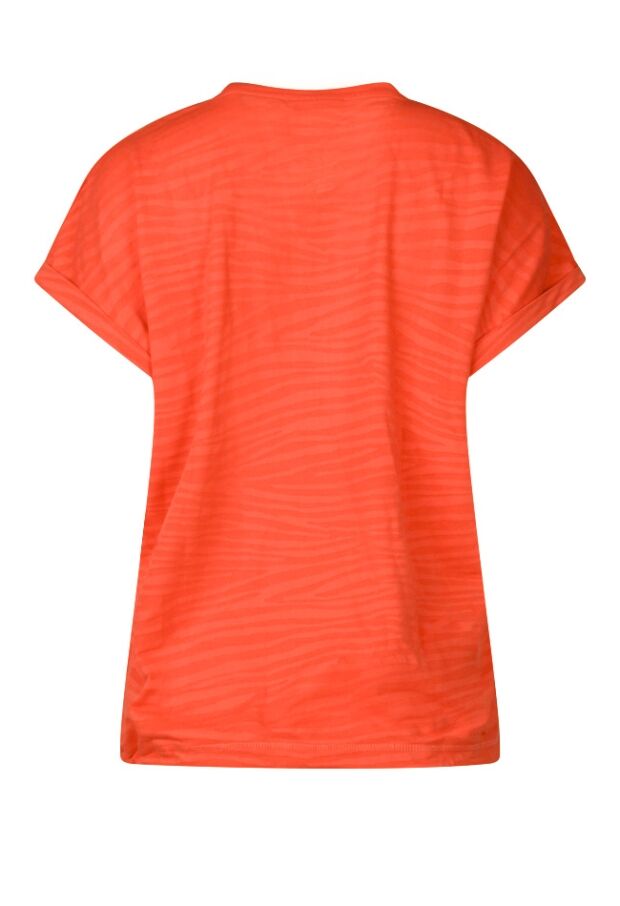 Z80670/Frederica koraal 