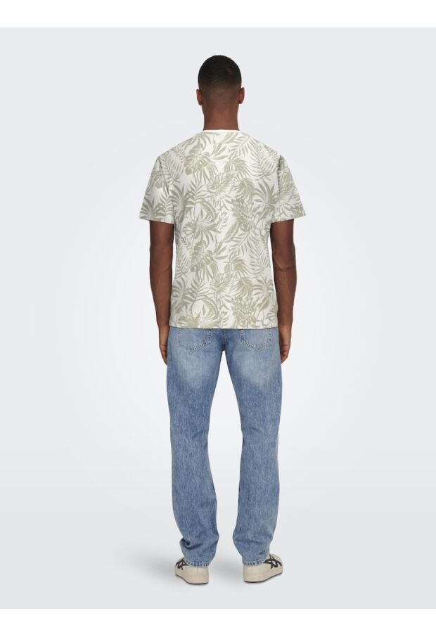 22025283 Cloud Dancer/CLOUD DANCER W. SEAGRA 