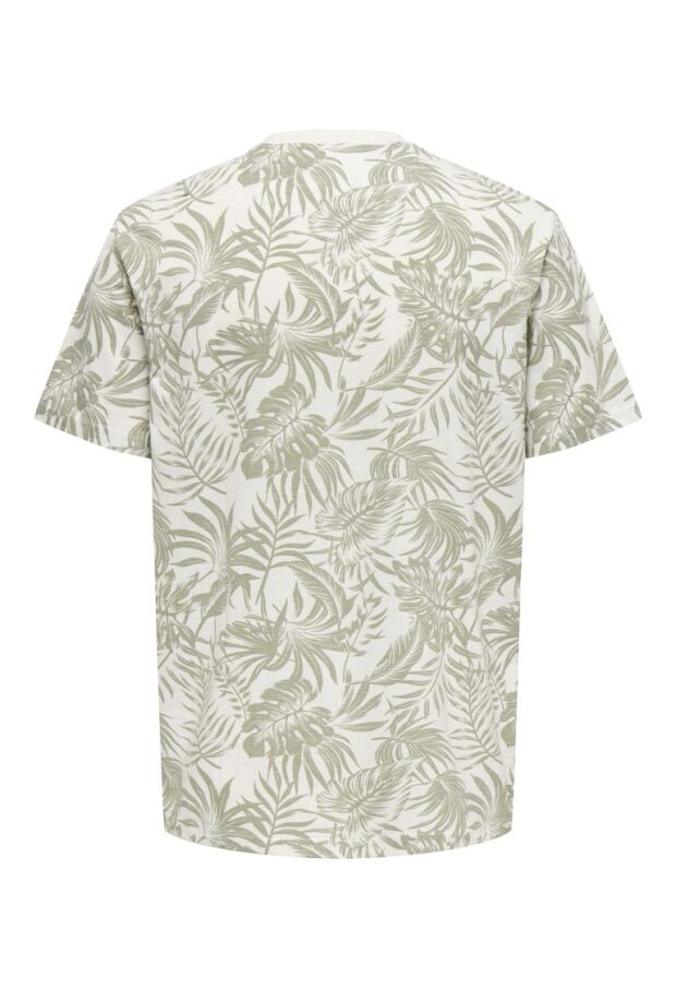 22025283 Cloud Dancer/CLOUD DANCER W. SEAGRA 