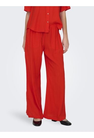 JDY 15325233 Poinciana  187223