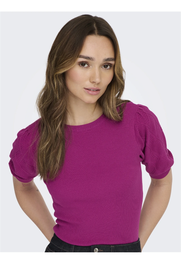 15259943 Festival Fuchsia 