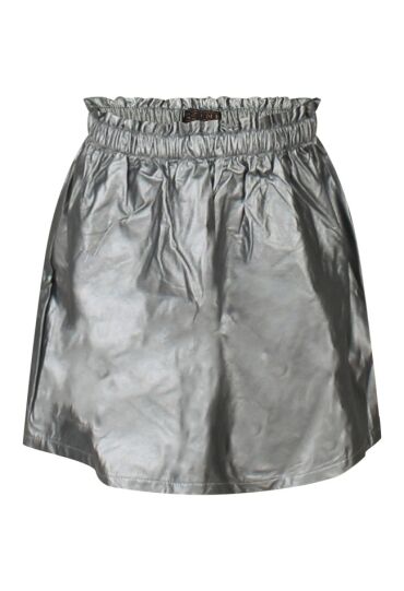 D-zine W90066/Reonie zilver  silver