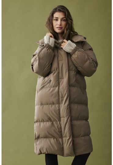 JDY 15330181 Shitake/DTM JDY LINING  293255002