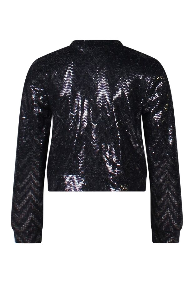 W90536/2910650 zwart 