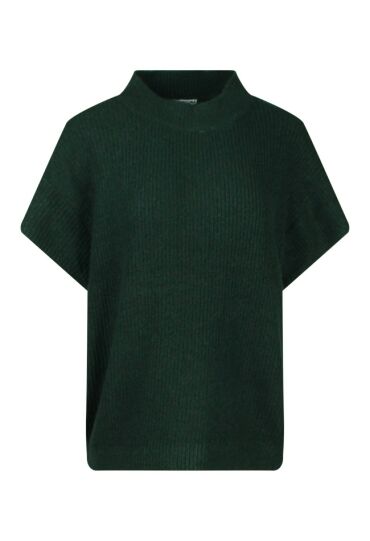 Lizzi Lou W90401/Chantal smaragd ponderose pine Lizzi Lou W90401/Chantal smaragd ponderose pine