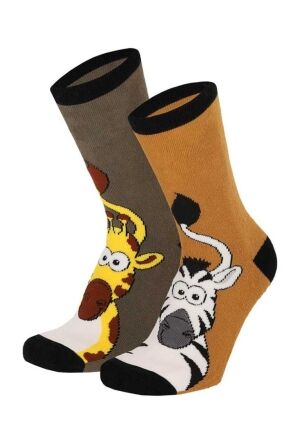 Appolo 000130659006 Bruin  bruin