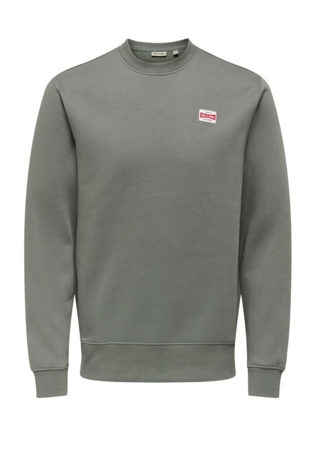 22033193 Castor Gray/LOGO 