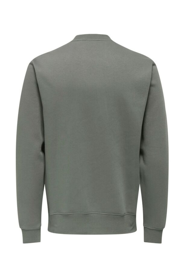 22033193 Castor Gray/LOGO 