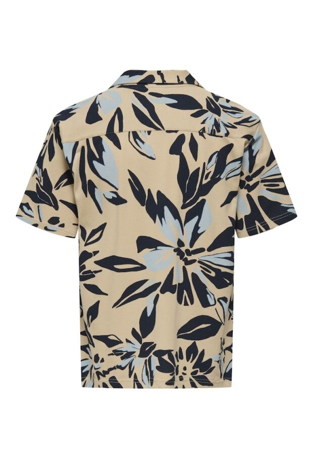 22034082 Dried Sage/CLOUD DANCER/IRISH CREAM 