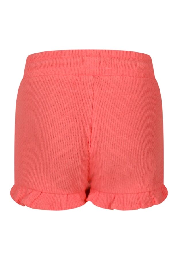 Z90097/3010213 koraal 