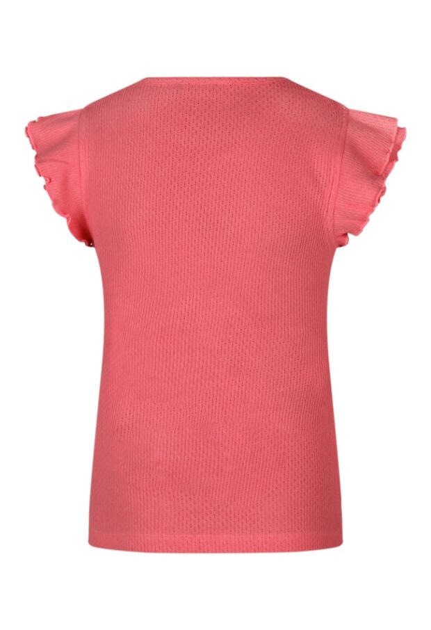 Z90098/3010622 koraal 