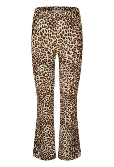 D-zine Z90134/Sitta aop KIT  kit