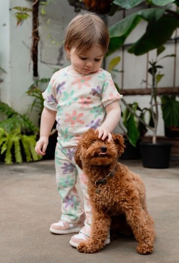 Bakkaboe Z90377/Dua KIT  whitecap gray