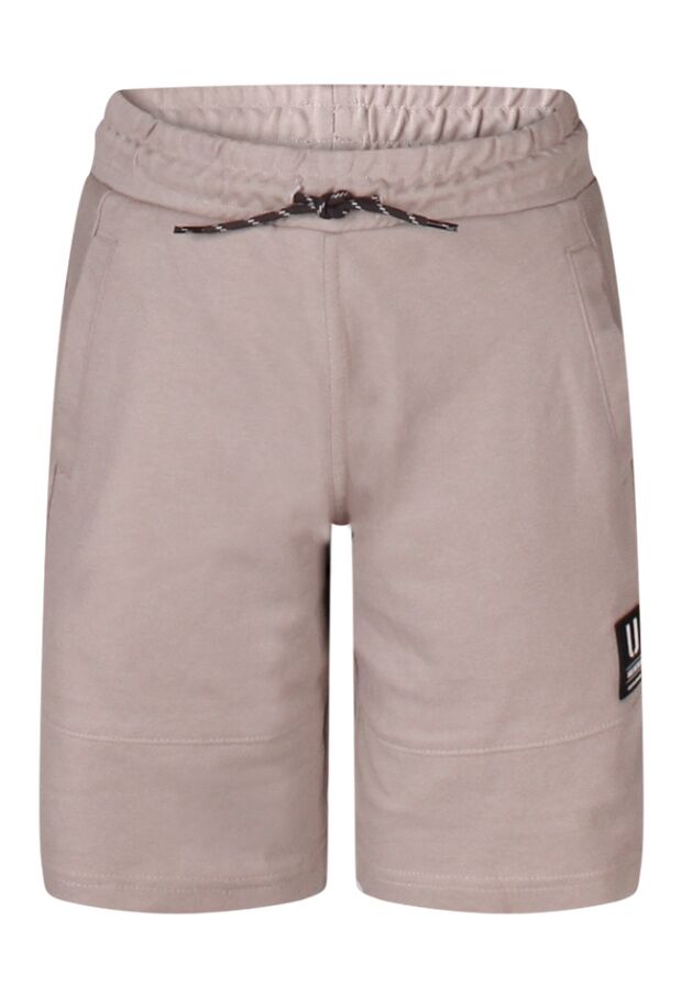 Z90391/Aster licht grijs 